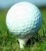 Golf Ball