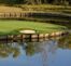 TPC #17